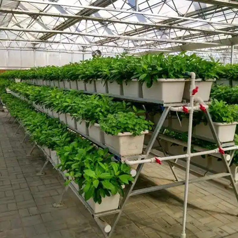 岳阳市植物工厂薄膜大棚 - 推荐