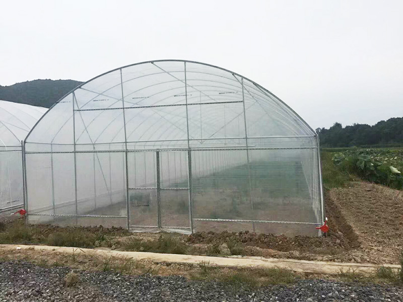 岳阳市薄膜大棚植物工厂 - 价格