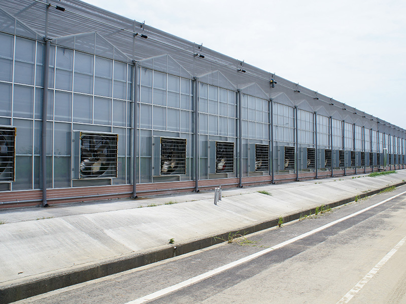 岳阳市玻璃大棚大棚 - 方案